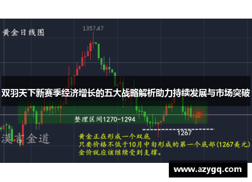 双羽天下新赛季经济增长的五大战略解析助力持续发展与市场突破