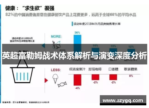 英超富勒姆战术体系解析与演变深度分析 英超富勒姆战术体系解析与演变深度分析