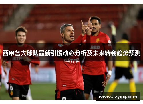西甲各大球队最新引援动态分析及未来转会趋势预测 西甲各大球队最新引援动态分析及未来转会趋势预测